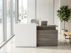 Front elevation of the reception desk with glass transaction counter and white greeter panel