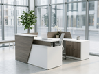U-shaped reception desk in gray woodgrain beside a corporate glass wall and tree